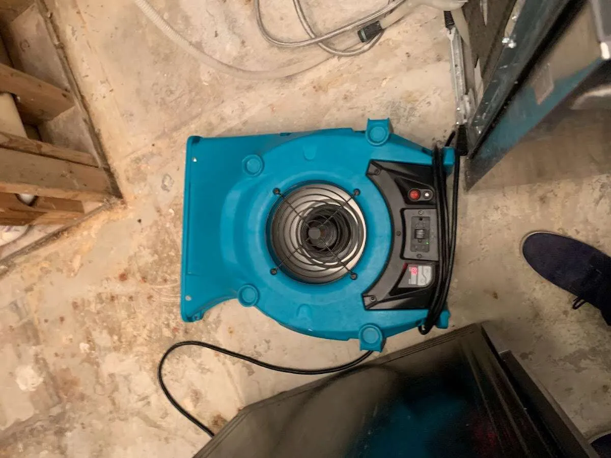 Air mover drying equipment for Mold Remediation & Removal in Rosedale