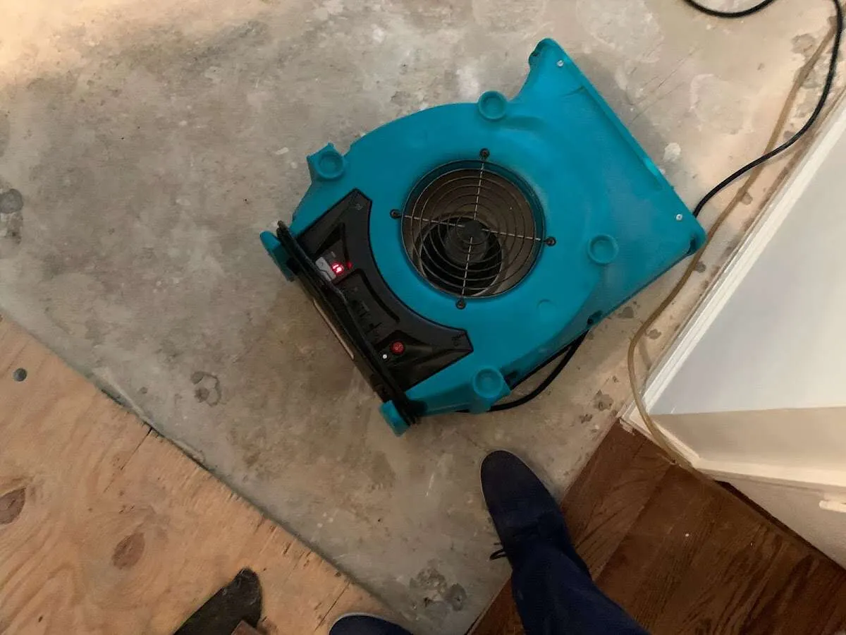 Air mover drying subfloor during Commercial Water Damage Restoration in Rosedale